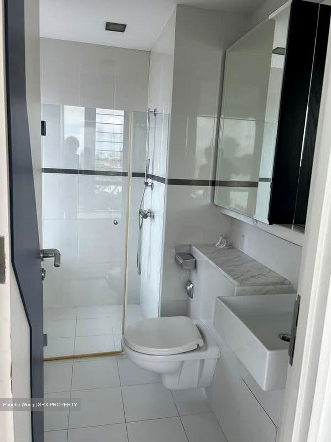 The Chuan (D19), Condominium #551120981